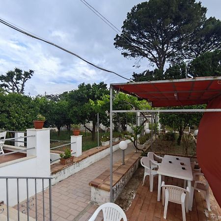 ホテル Casa Ferraro Marina Grande  エクステリア 写真